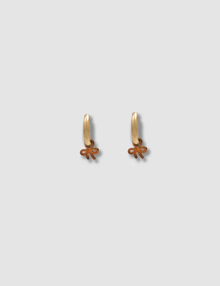 Pendientes Acero Lazo