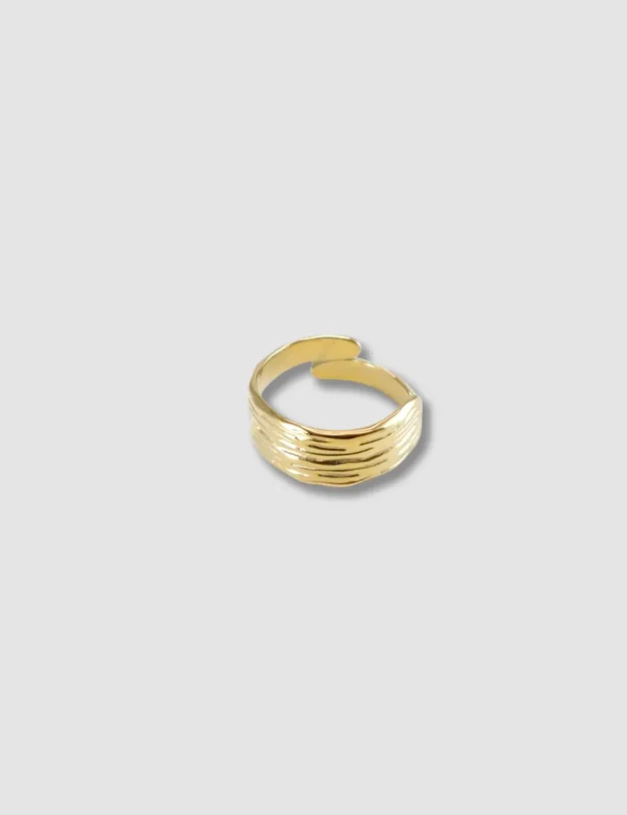 Anillo Acero Ajustable