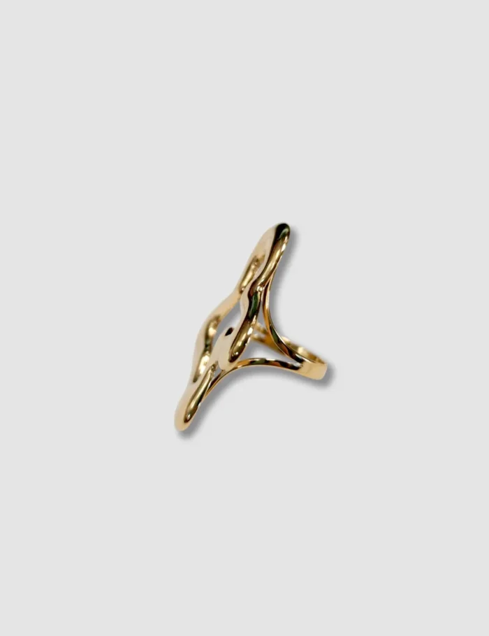 Anillo Acero - Imagen 2