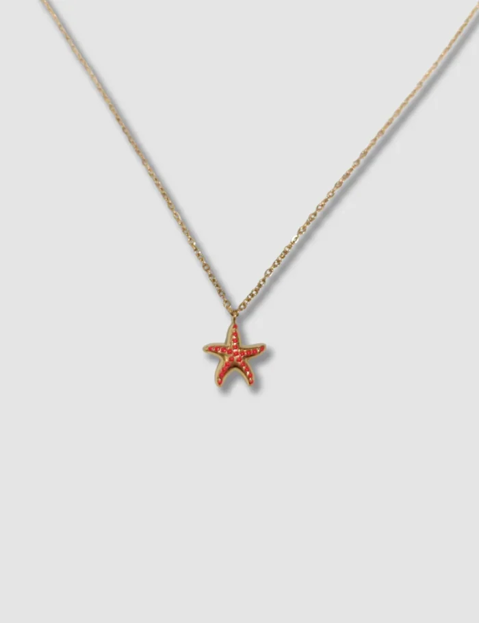 Collar Acero Estrella De Mar