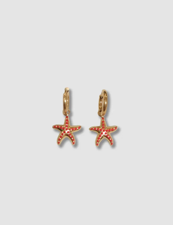 Pendiente Acero Estrella De Mar