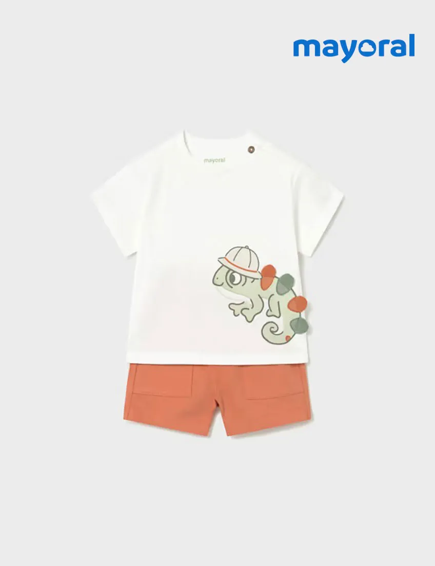 Conjunto Camaleón Explorador