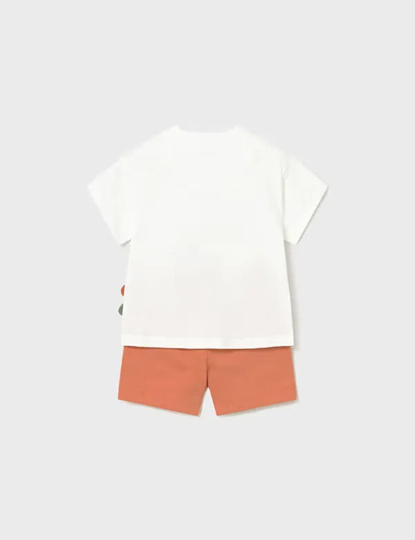 Conjunto Camaleón Explorador - Imagen 3